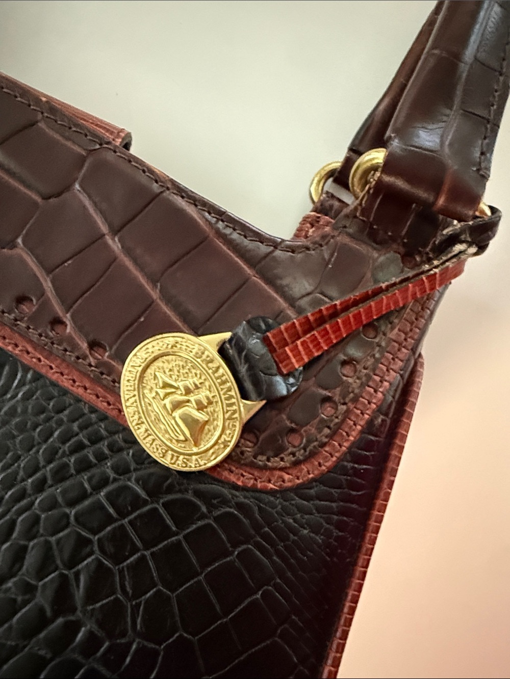 Brahmin - Picture 3 of 4
